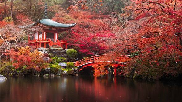Kyoto Garden