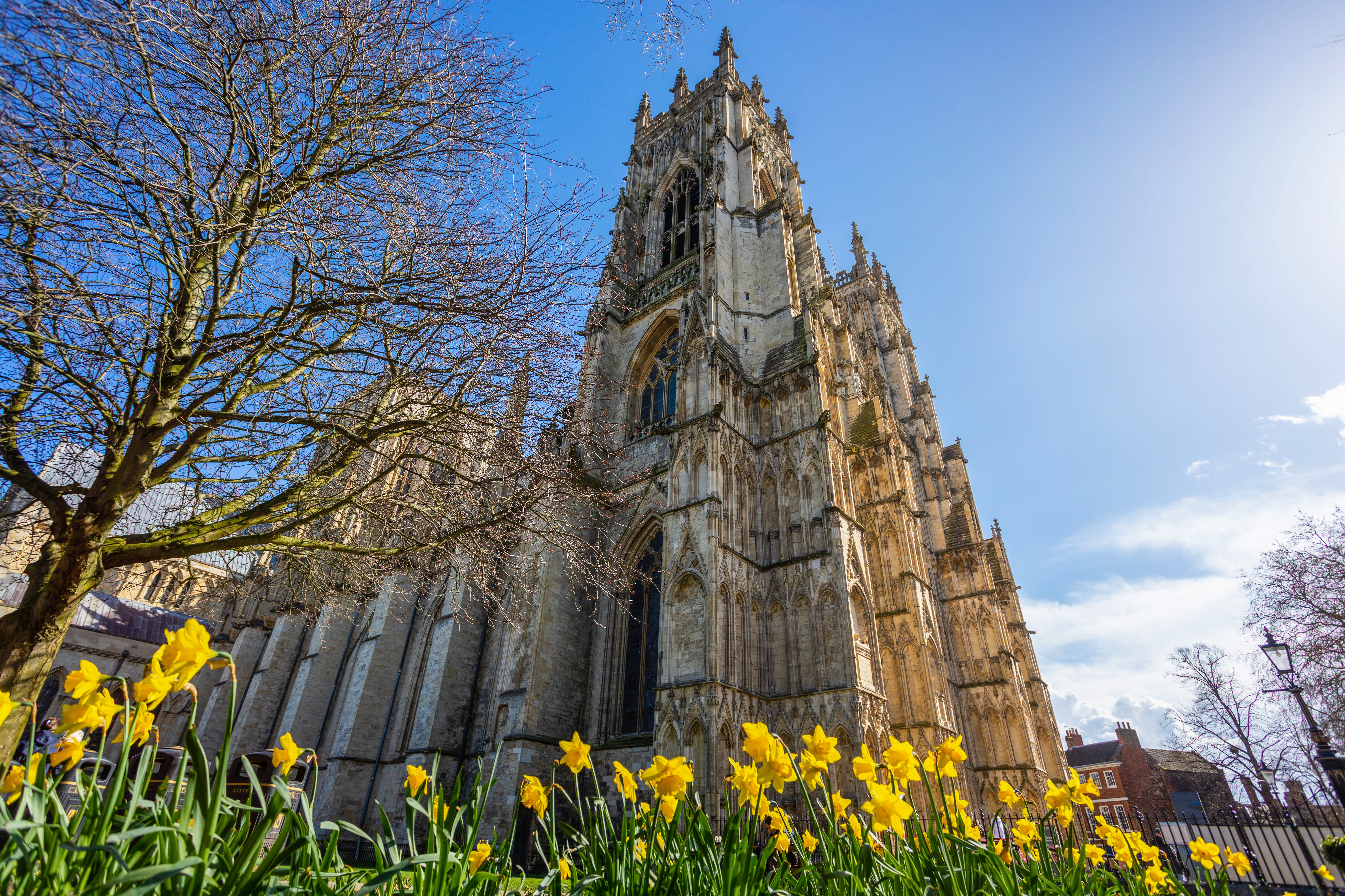 Feeling Blooming Marvellous - UK's Top Spring Scenes To Boost Wellbeing Revealed