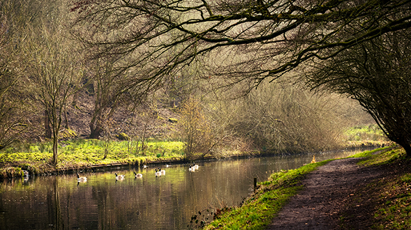 leeds-canal-walks.jpg